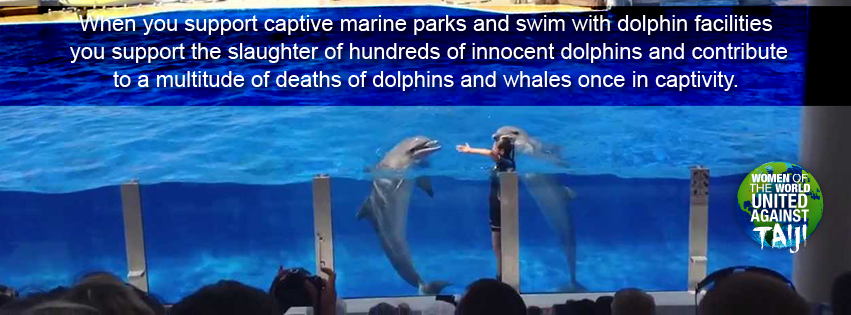 ChrisSand20's tweet photo. When you support captive facilities you support the slaughter of hundreds of dolphins and contribute to the multitude of deaths of cetaceans in captivity every year #WOWvTaiji #Taiji https://t.co/1wO9t0P4k1 https://t.co/H4D99UIqzP