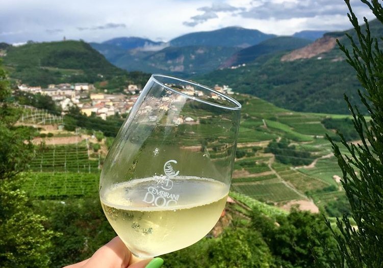 VinoDolomiti tweet media