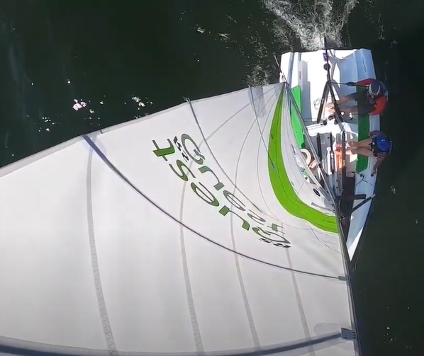 ZIM Sailing tweet media