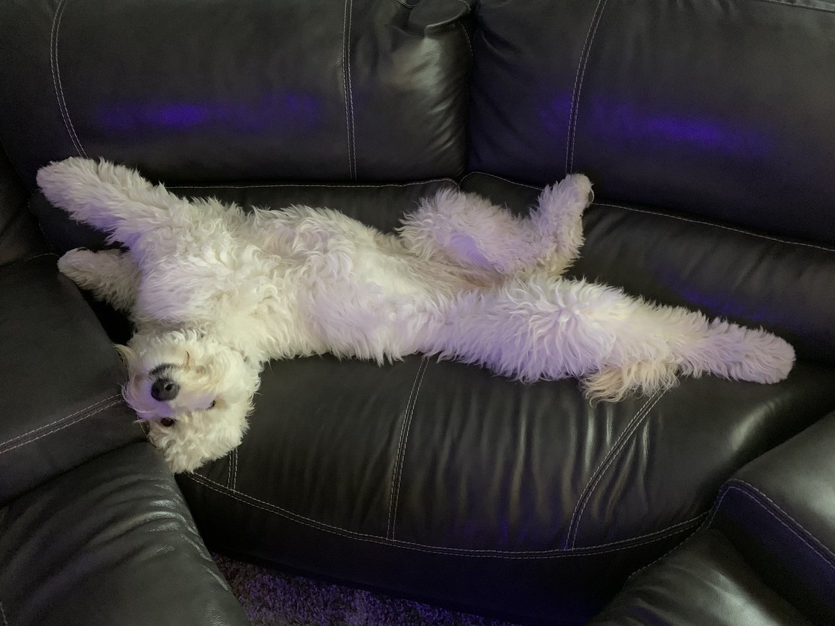 TripleZero tweet media