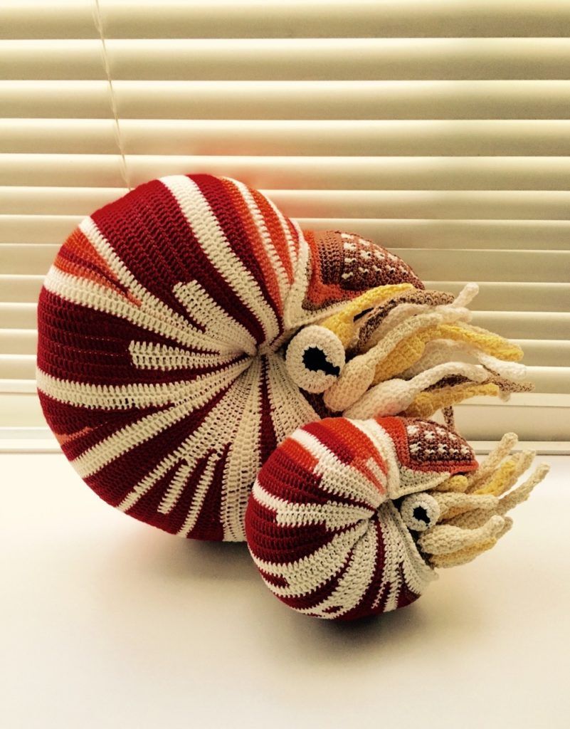 knithacker's tweet image. I Spy a Couple of Crochet Butterflyfish ... Oh, and a Nautilus Too ... 👉 buff.ly/2Yi6U5J #crochet #handmade #art #fiberart