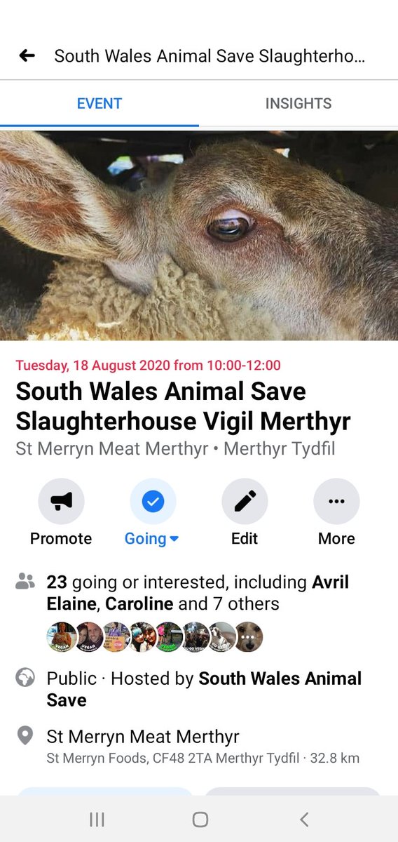 SWAnimalSave's tweet image. Vigil In memory of Regan Russell
#AnimalLiberation