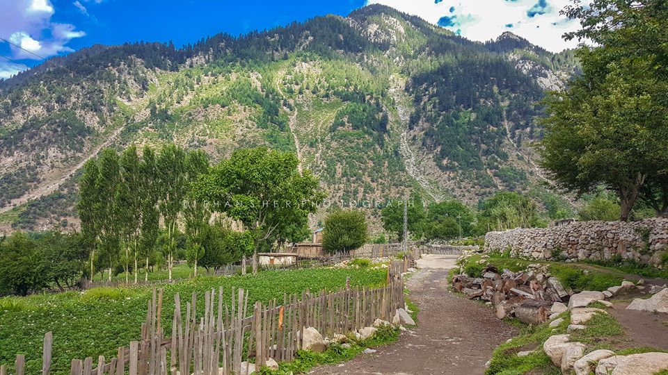 En route to #Kumratvalley Dir Upper Khyber Pakhtunkhwa.