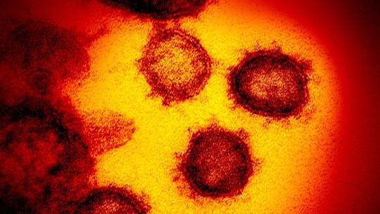 g1's tweet photo. Mutação pode ter tornado o novo coronavírus mais vulnerável às vacinas => https://t.co/mToRFV4xdM #G1 https://t.co/PaIUGZETfW