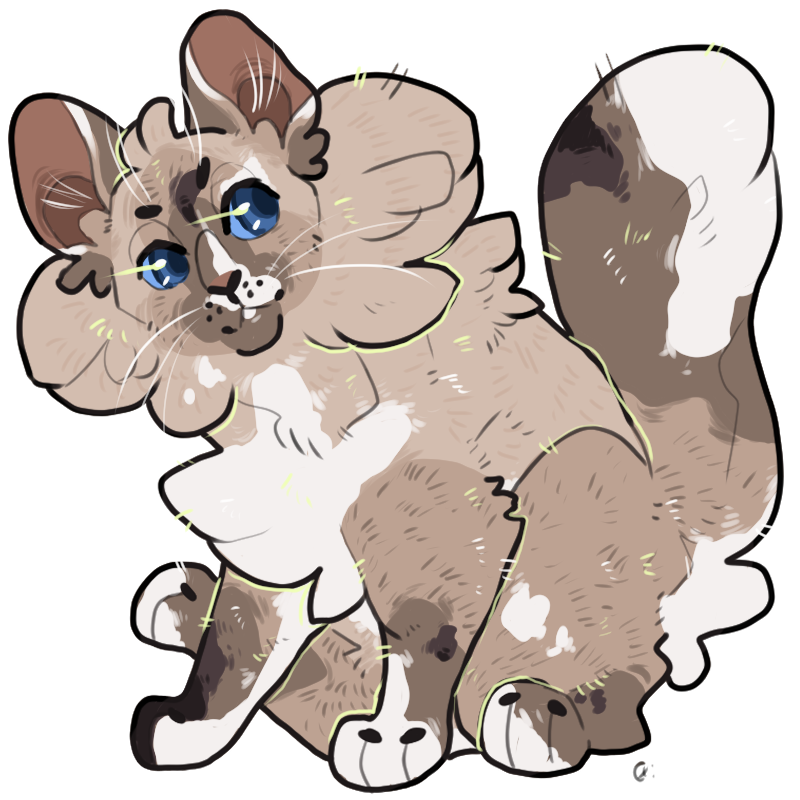 whimsyfinch's tweet photo. Do I have a soft spot for designs that feature points? Yes. Yes I do. #warriorcats #designcommissions https://t.co/jtnFW8dzdq
