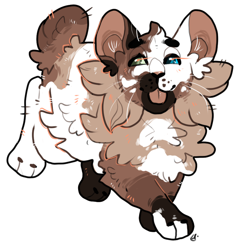 whimsyfinch's tweet photo. Do I have a soft spot for designs that feature points? Yes. Yes I do. #warriorcats #designcommissions https://t.co/jtnFW8dzdq