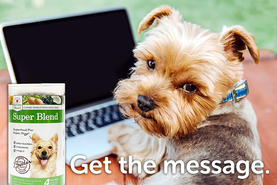 BetterBowl's tweet photo. Sometimes it's not hard to get the message. BetterBowl -  Give Your Dog The Best..... Starting @$7.95. It's worth the try! #betterbowl #getthemessage 
Shop Now:  https://t.co/fn8GSM6zDj https://t.co/r4po5Bao5s