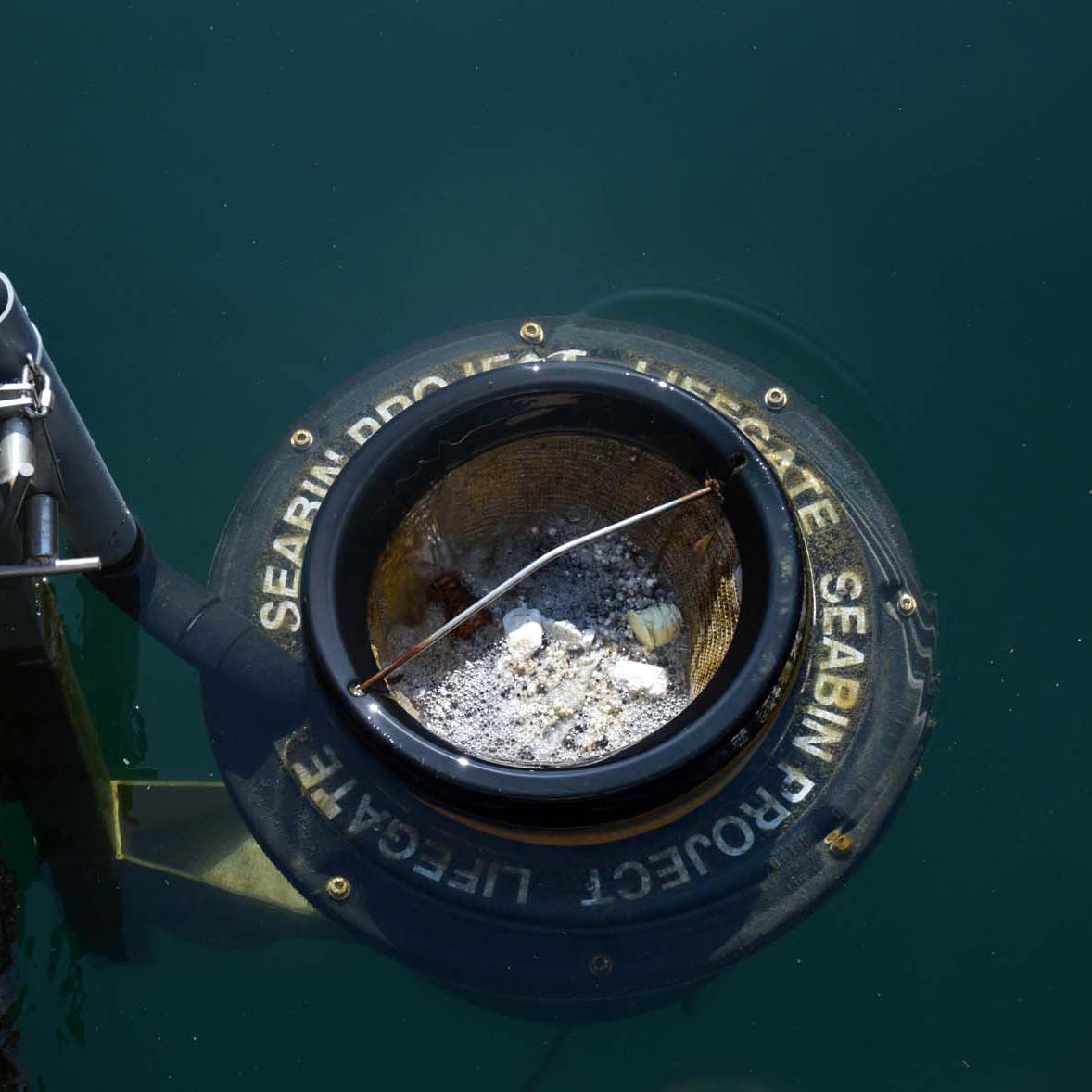 Coopitalia's tweet image. Continua il tour di #Coop e @lifegate! Oggi siamo alla Marina di Sestri Ponente a #Genova per installare un altro #Seabin. Segui le prossime tappe: e-coop.it/progetto-le-no…
#CoopAmbiente #LifeGatePlasticless