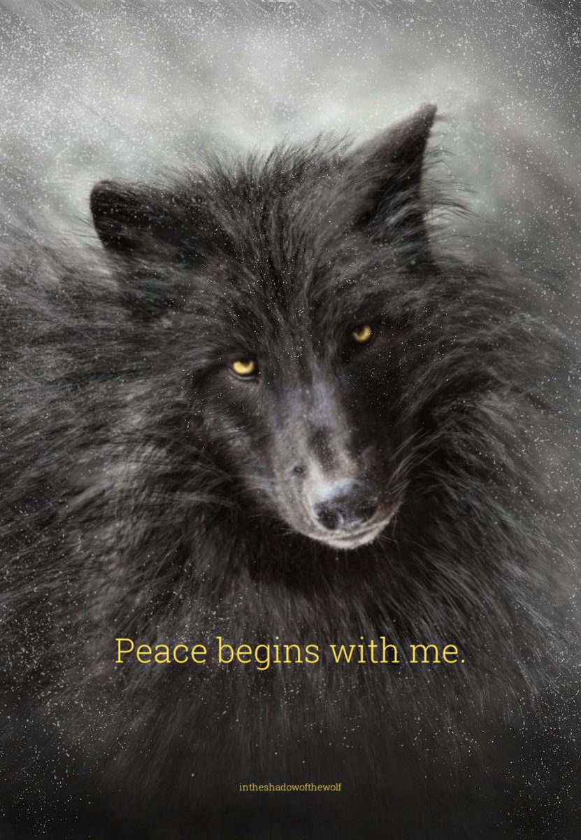 AEAllen27's tweet photo. Tell @GovInslee to hold @WDFW accountable for wolf-killing policies, via @endangered
Take action: https://t.co/PSjWNol0Di
#StopTheSlaughter of #WAwolves #ProfanityPeakPack
#TogoPack
#smackoutpack #ProfanityPeakPack2
#WedgePack
#ShermanPack https://t.co/jbZ9WEJFfF