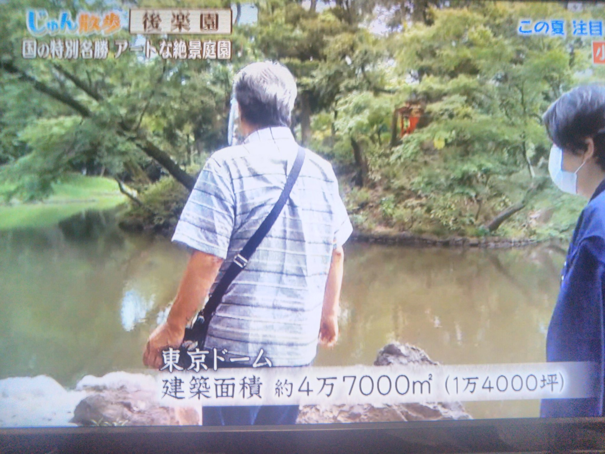 宮澤篤司 じゅん散歩を観てたら 東京ドームの大きさを教えてもらったけど それでもピンと来ない