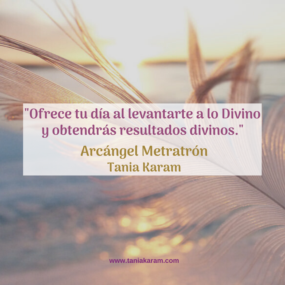 taniakaram's tweet photo. Reduerda lo que des, siempre regresa a ti. Arroba a las personas que necesitan este recordatorio. #taniakaram #hoyofrezcomidia https://t.co/X0Fi3P8fbE