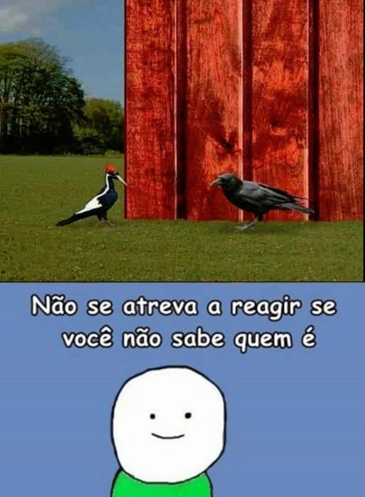 MXJ - Mestre Ximu Jogos #IniciativaRPG 2025# tweet media