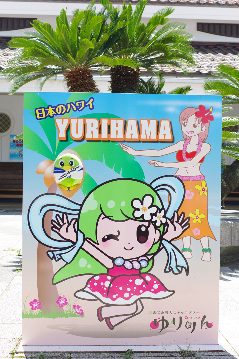 トリピー 鳥取県マスコットキャラクター ちょっと ハワイ 行ってきたわ 鳥取のハワイ と呼ばれるのは 今は合併して湯梨浜町になった 羽合町 から ハワイ海水浴場やヤシの並木 そしてこの顔出しパネルなど ハワイ感な場所がいっぱいなんだ