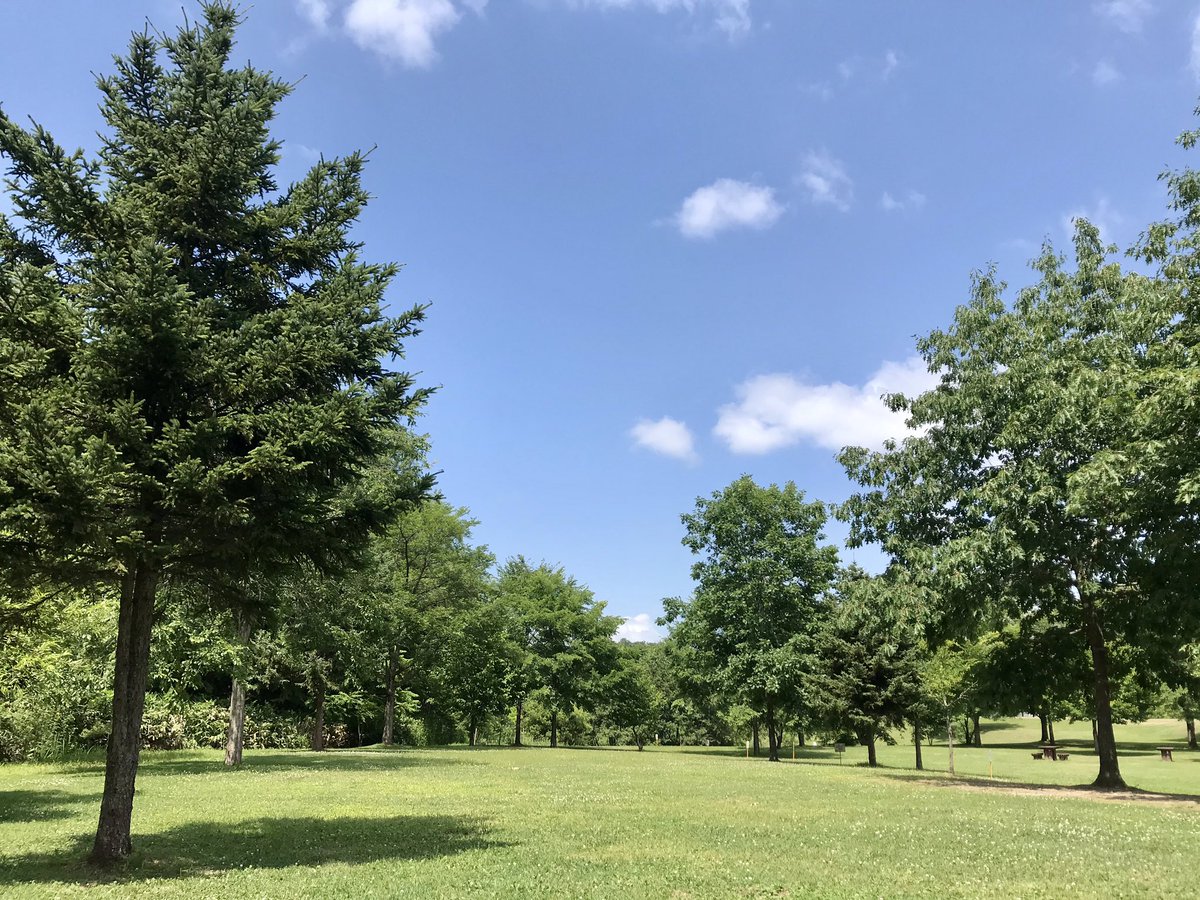 ロプロス さくらんぼ狩りのあとは 旭川に戻って カムイの杜公園 でかんたんデイキャンプ 初めて来たけどキレイに整備された気持ちのいいキャンプ場 適度に木陰もあるのが嬉しい 中心街から車でわずか10分ちょっとのところに こんな良いキャンプ場がある ロプロス さくらんぼ狩りのあとは 旭川に戻って カムイの杜公園 でかんたんデイキャンプ 初めて来たけどキレイに整備された気持ちのいいキャンプ場 適度に木陰もあるのが嬉しい 中心街から車でわずか10分ちょっとのところに こんな良いキャンプ場がある