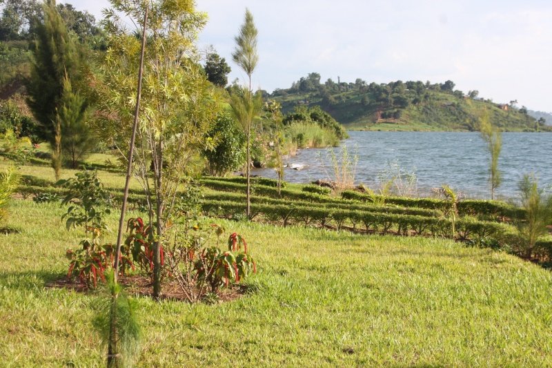 Visit Congo tweet media