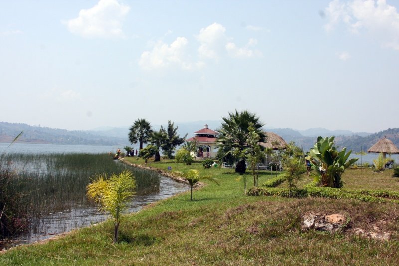 Visit Congo tweet media