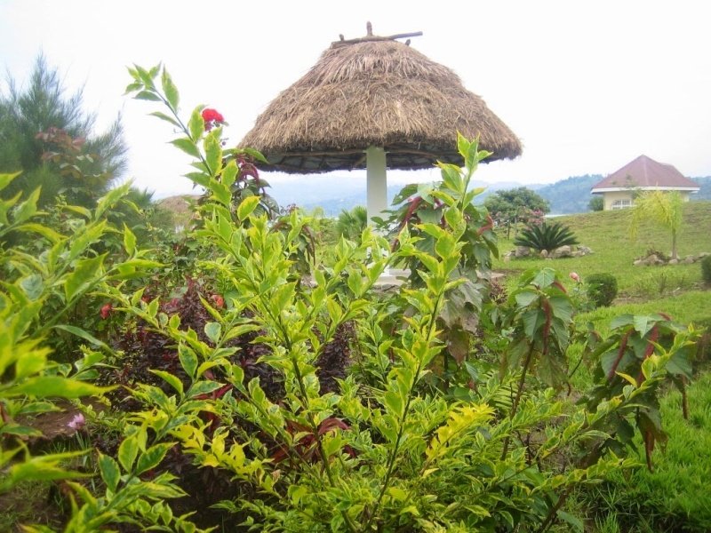 Visit Congo tweet media