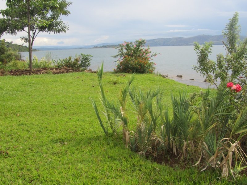 Visit Congo tweet media
