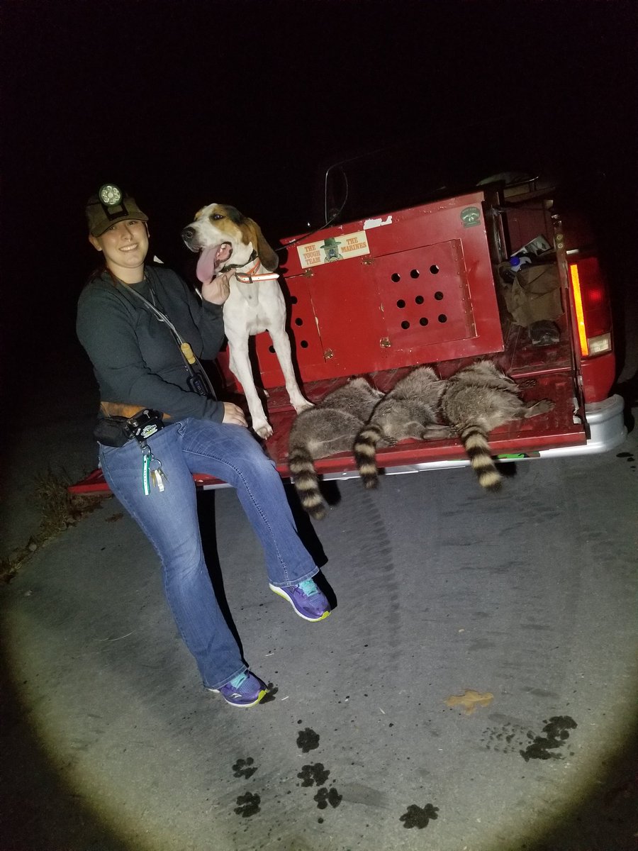 Vitkauskas3's tweet photo. Cannot wait for winter again! #hunting #coonhounds #DogsofTwittter #womenwhohunt #onlyfansnewbie https://t.co/fkcwUVz7De