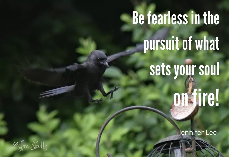 Be fearless! #TuesdayThoughts #TuesdayMotivation #beinspired #photography #quoteoftheday #jenniferlee #NaturePhotography
