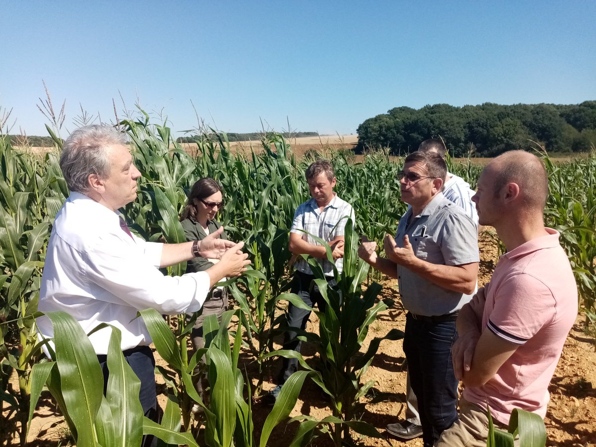 Fnsea41's tweet photo. Ce lundi 27/07 la FNSEA 41 invitait M. Le Préfet sur le terrain sur la commune de Moree. A l'ordre du jour : dégâts de nuisibles (corbeaux, pigeons,...), récoltes 2020, souveraineté alimentaire, gestion de la ressource en eau. Échanges constructifs avec un Préfet à l'écoute https://t.co/lBtt1LcCSh