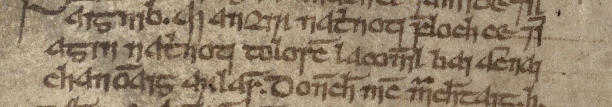 There are a number of references to Lough Key in the Annals of Connacht. Here’s entry for the year 1466 notes ‘The monastery of Holy Trinity Island in Loch Key and the image of the Trinity were burned by a lighted candle carried by a canon's wife.’