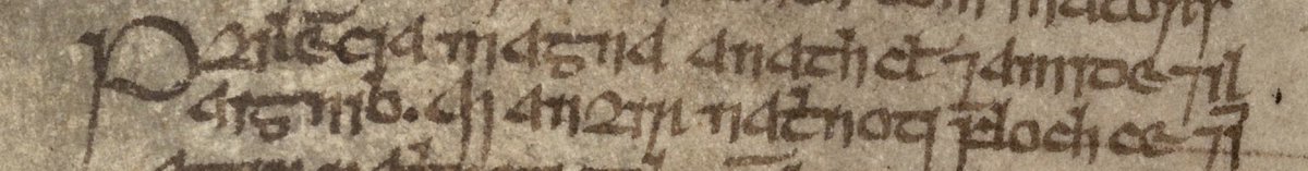 … Incidentally, the entry just before this one reads: ‘Pestilencia magna a nAth Cliath & a Mide & i Laignib.’ / ‘A great plague in Dublin, in Meath and in Leinster.’