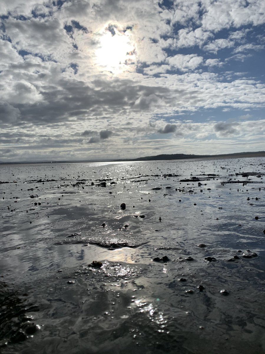 Andrew TOMMO Thomas (@tommoradio) on Twitter photo Joio bore yma, loved cockle picking this morning on the Burry Estuary with <a href="/waffle/">Dave Coleman</a> for @ck_foodstores @SelwynsSeaweed Gower 🏴🙏🎬🎤 what a view. 🏴 Joio bore yma, loved cockle picking this morning on the Burry Estuary with <a href="/waffle/">Dave Coleman</a> for @ck_foodstores @SelwynsSeaweed Gower 🏴🙏🎬🎤 what a view. 🏴