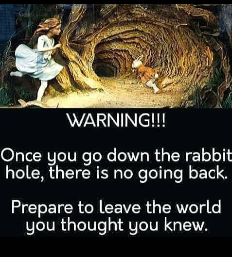 machavelli7's tweet photo. "Once you go down the rabbit hole there is no going back. Prepare to leave the world you thought you knew." - Unknown https://t.co/NrsgqYojEH