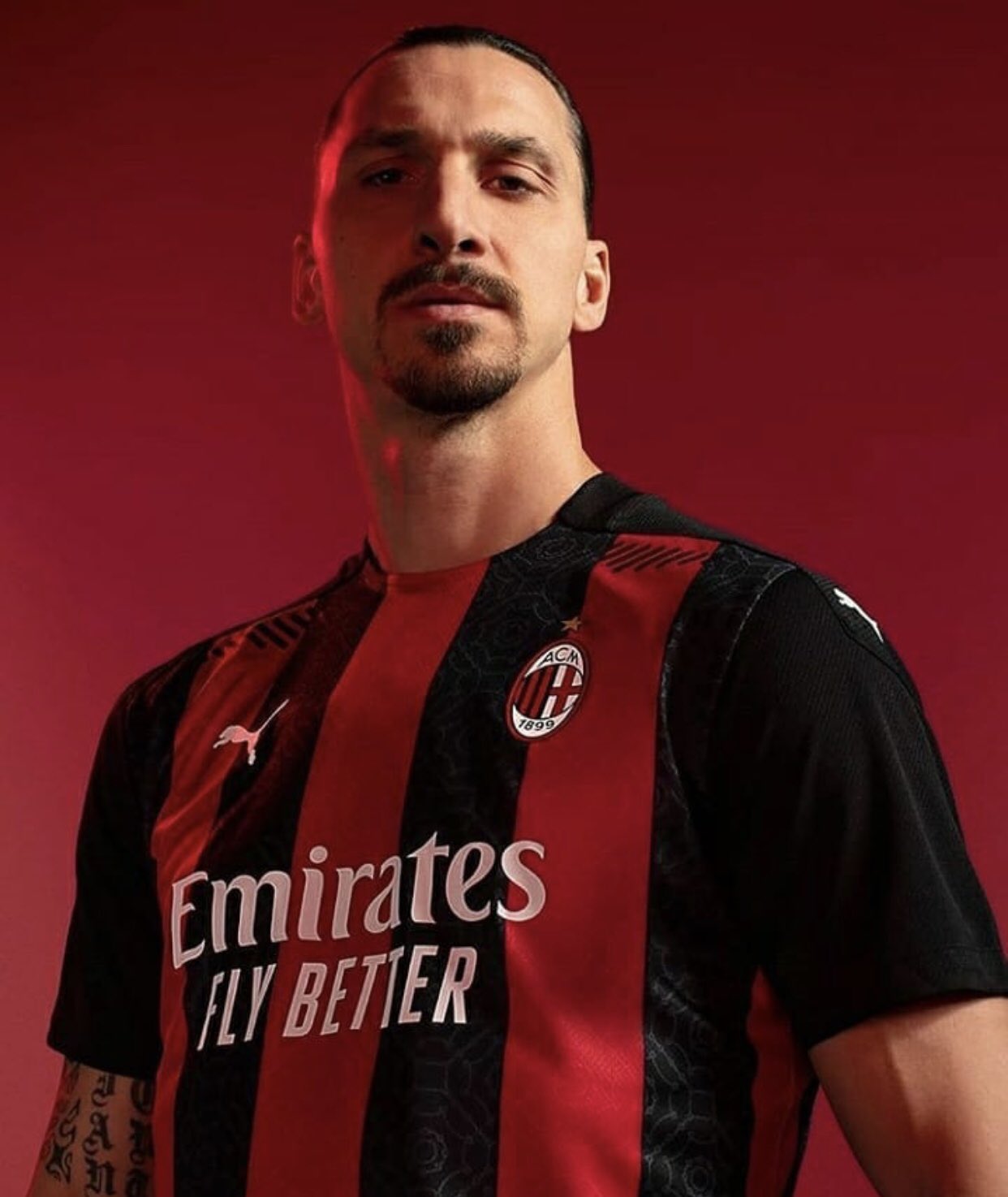 Bash Alibash22 Twitter