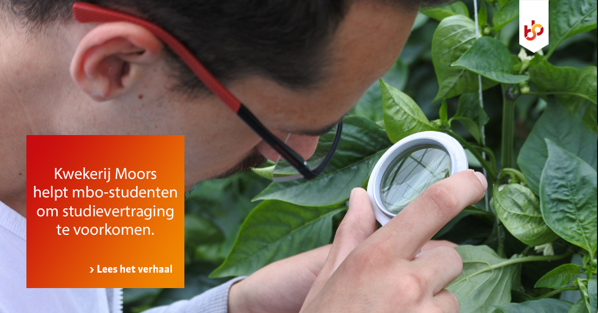 SBBNL's tweet photo. Erkend leerbedrijf @kwekerijmoors1 voorkomt door een oproep op sociale media dat nog meer #mbo-studenten #studievertraging oplopen. Benieuwd naar dit verhaal? 👉🏻 https://t.co/T5kgO7b4w1 https://t.co/chs5BJ7UN5
