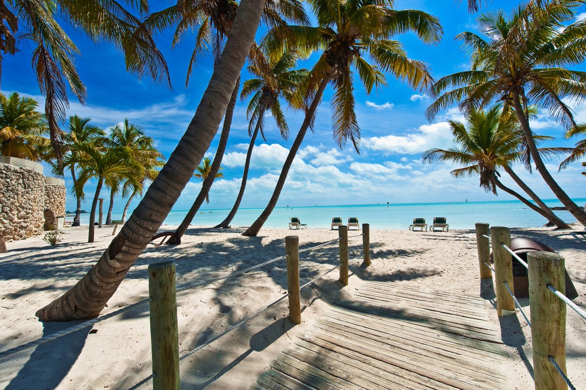 tiogatours's tweet photo. Florida, het thuis van pretparken, azuurblauw water, palmbomen, witte zandstranden en, misschien nog wel het indrukwekkendst van allemaal, manatees! 🌞

Check onze top 10 bezienswaardigheden in de sunshine state Florida: https://t.co/8vCYtgaR15 https://t.co/rDlEinyC0t