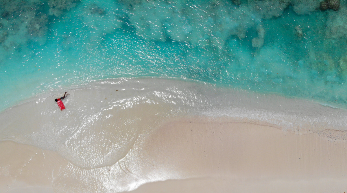 “For whatever we lose (like a you or a me), it is always ourselves we find in the sea” E. E. Cummings  #quotes #eecummings