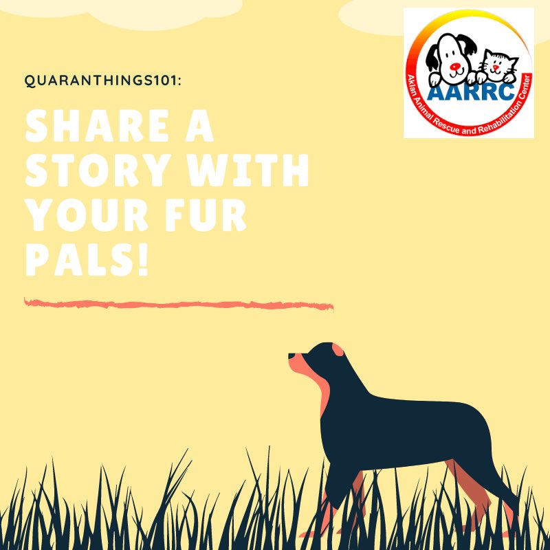 AklanRescue's tweet photo. In this lifetime where uncertainty is becoming more apparent, one thing remains to be important - the warmth and love of our animals! 💛

Have a blissful week ahead, from your AARRC family.🐾 https://t.co/YRoWluXpar