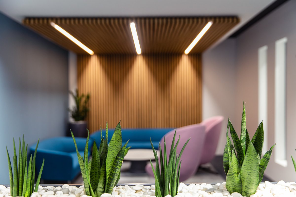 gilbertashnews's tweet photo. Words can't express our delight with our new space.  #OneMonthon we're settling in &amp; looking forward to times when we're all settled back in #TogetherAsOne Thank you to everyone who played a part in making this happen during very difficult times #NewHQ #Belfast #Construction https://t.co/xh75Lg9WsL