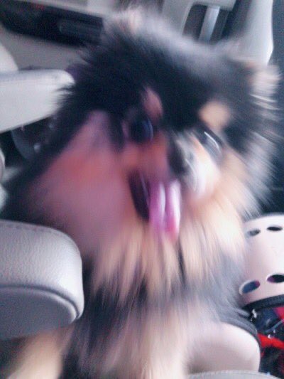 Tannie as taehyung: a very cute thread