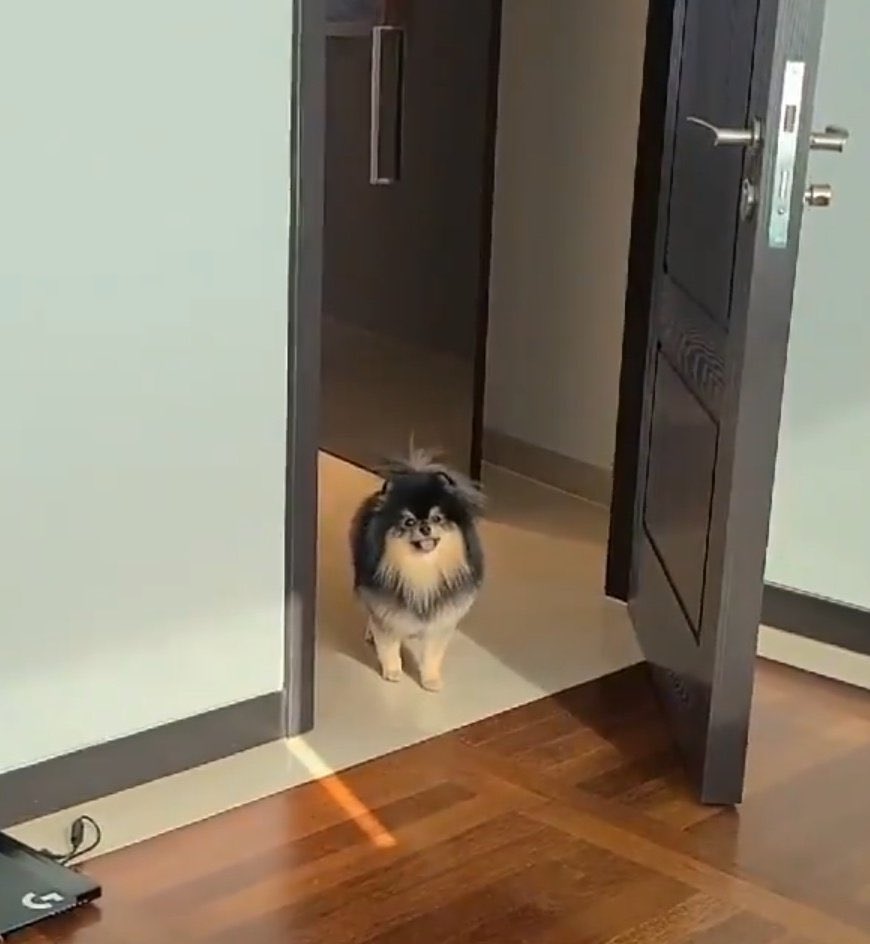 Tannie as taehyung: a very cute thread