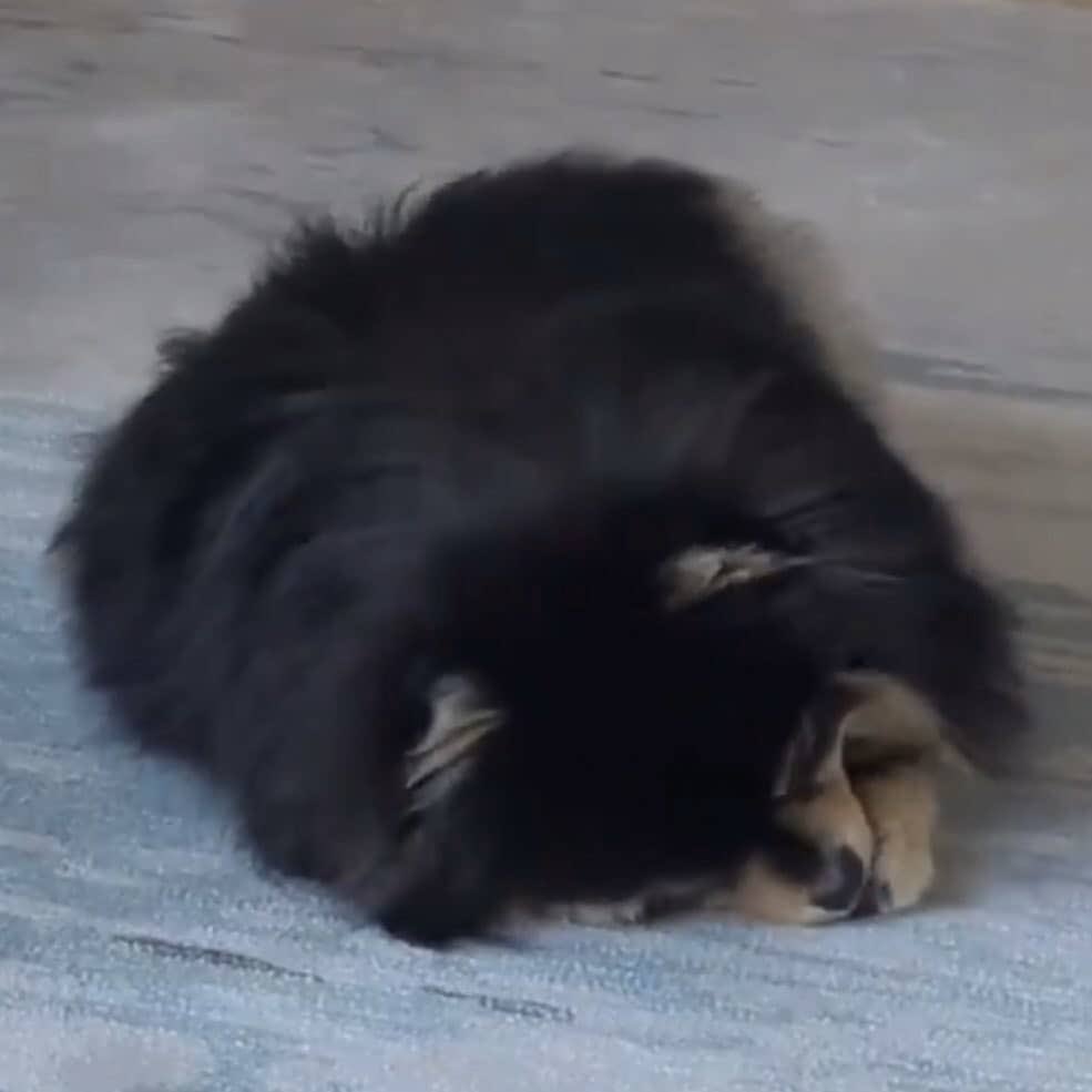 Tannie as taehyung: a very cute thread