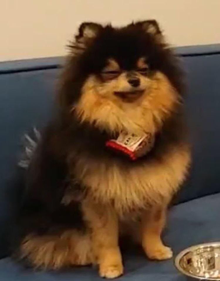 Tannie as taehyung: a very cute thread