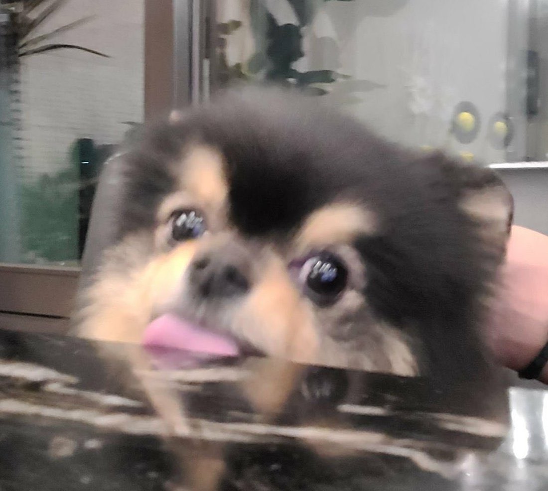 Tannie as taehyung: a very cute thread