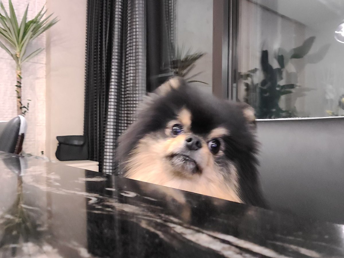 Tannie as taehyung: a very cute thread