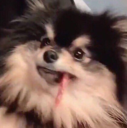 Tannie as taehyung: a very cute thread