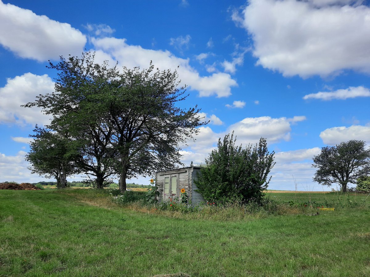 vanassche_ann's tweet photo. #vrtweer #Beersel #11u50 https://t.co/8HjAyZ7AMq
