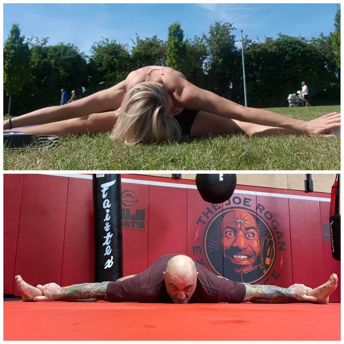 YinyogaJ's tweet photo. Inspo 🥰
#Repost @joerogan
Post training stretching is 1 of the most overlooked and neglected things even for strikers. There’s some serious benefits to flexibility if you can just push urself to suffer through prolonged static stretching 
.
.
#yinyogateacher #yinyogaforathletes https://t.co/xnAehnUgSl