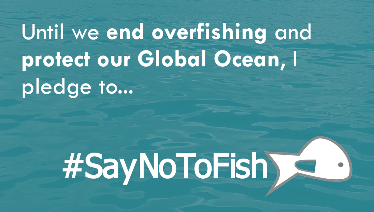 saynotofish's tweet photo. @philip_ciwf @ciwf If you have the luxury of choice then #SayNoToFish #SayNoToSeafood https://t.co/A4A4AWHcA4