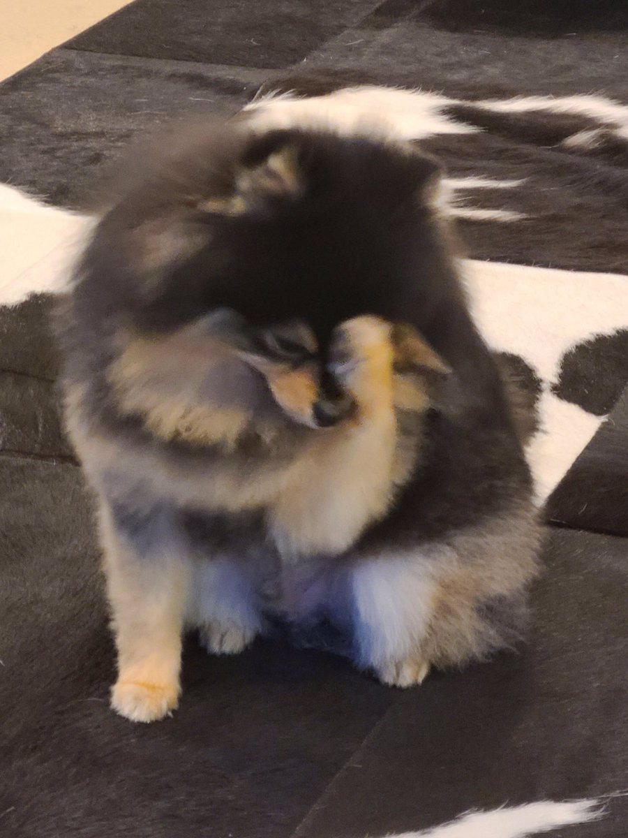 Tannie as taehyung: a very cute thread