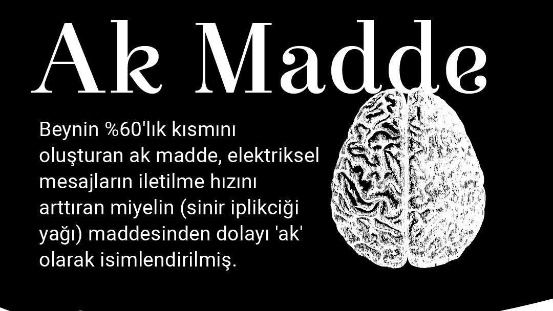 islekelsertac's tweet photo. 👉 https://t.co/DkVaKZf49p
📍 1.Kordon No:370/1 Basın Apartmanı Daire:14 Alsancak İZMİR
☎ +90 232 422 12 00

🔖 #beyinvesinircerrahisi #beyin #düşünce #nöronlar #gammaknife #gammaknifenedir #beyinanevrizması #başağrısı #anevrizma #beyinkanaması #beyintümörü #beyintümörütanısı https://t.co/bilq5wTWuT