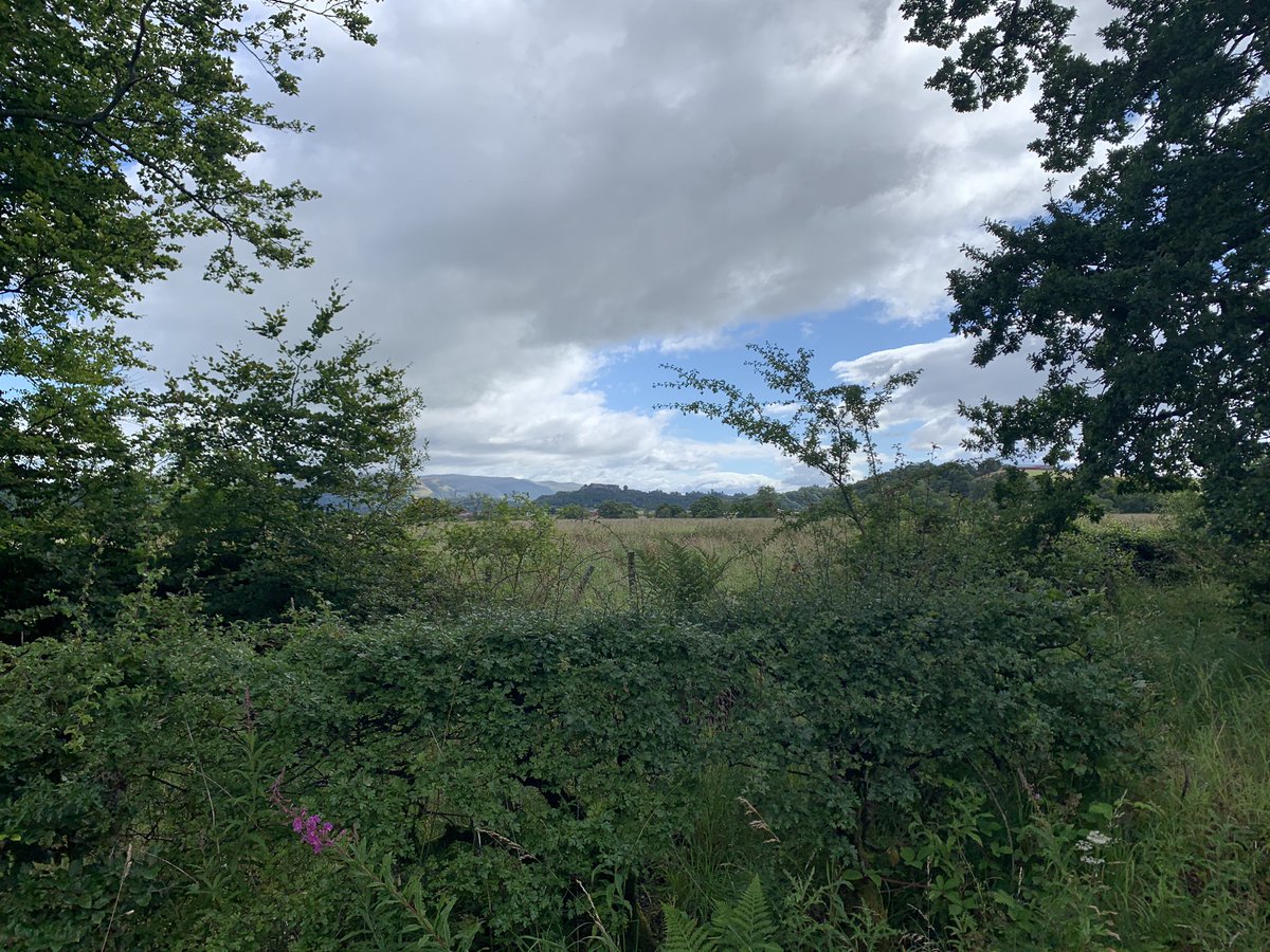 View of a different castle on Miss Fyfe’s morning run! 🏰🏃🏻‍♀️ #dastaffsummerchallenge