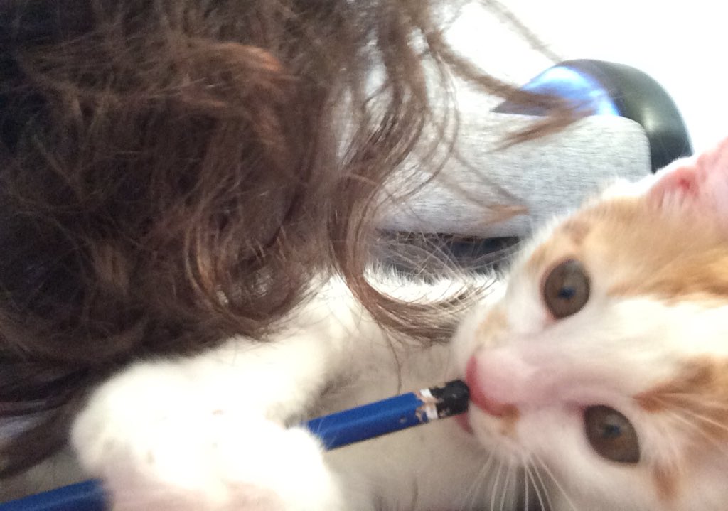 #yks2021 tarcın hanım ders calısmam icin zorluyo, yavastan baslayalım bakalım