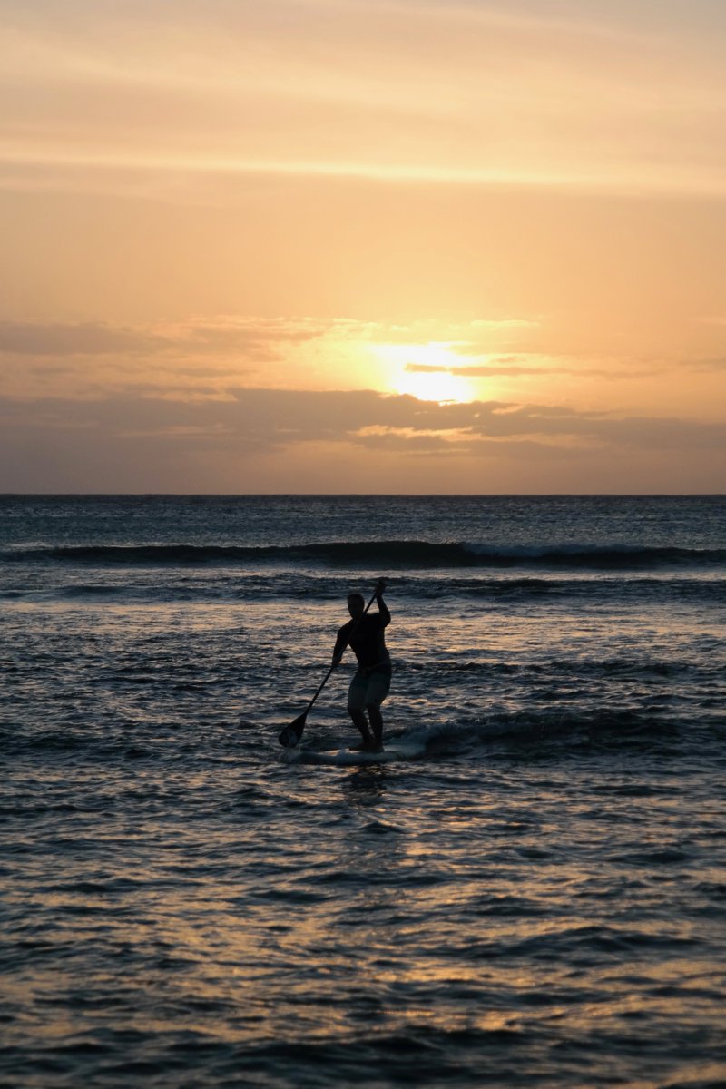 gotripland's tweet photo. ¿Quieres hacer #turismo🧳de forma diferente?
 
🔎Descubre Ponteveda📍 de una manera única, divertida y activa🤩.
 
El Concello de #Pontevedra organiza desde el pasado sábado📅, ocho jornadas de paddle surf🏄en el río🌊Lérez, diurnas y nocturnas. https://t.co/6kFWGo4cC7